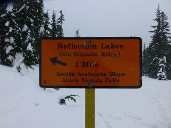 Reflection Lake Snowshoe