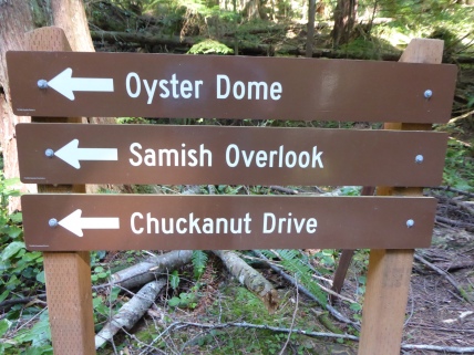 Oyster Dome